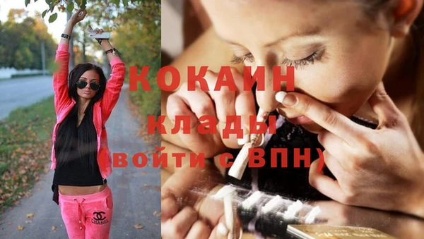 индика Дмитриев