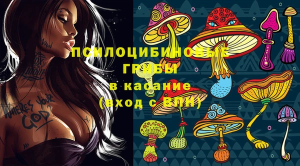 гидропоника Балахна